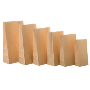 Paper Bags